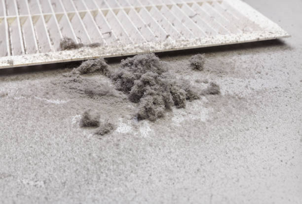 Best Residential Air Duct Cleaning  in Richland, MO